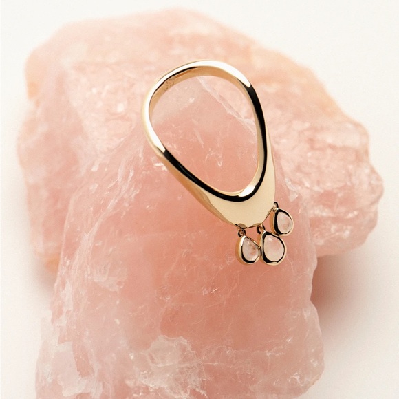 La Fontana Benedicto Ring | Gold-Plated Labradorite | EU 54 / US 7 | Free People - Picture 4 of 6